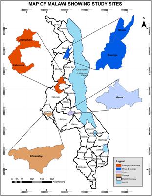 Diversity and heterogeneity of smallholder vegetable farming systems and their impact on food security and income in Malawi